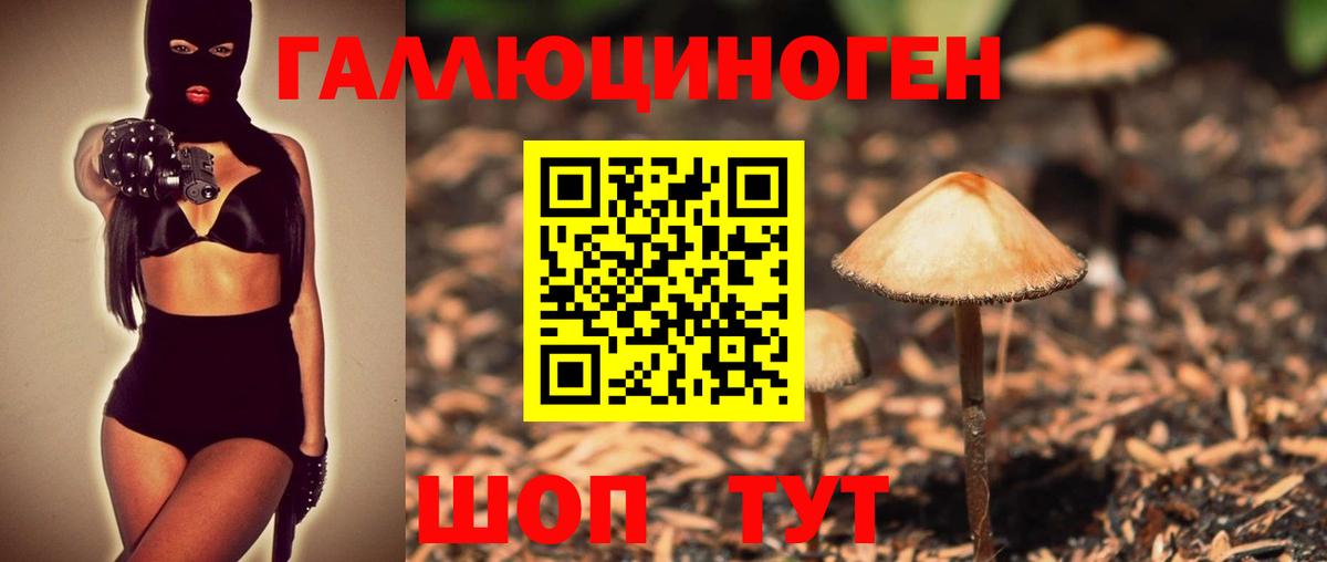 Псилоцибиновые грибы Psilocybe  Псилоцибиновые грибы мицелий  Вход с VPN  Элиста 